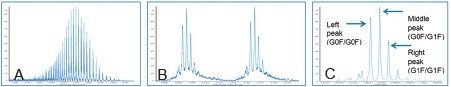 (A) MS spectrum of trastuzumab, m/z ~2000–3500, (B) Zoomed charged states, and (C) Deconvoluted spectrum.