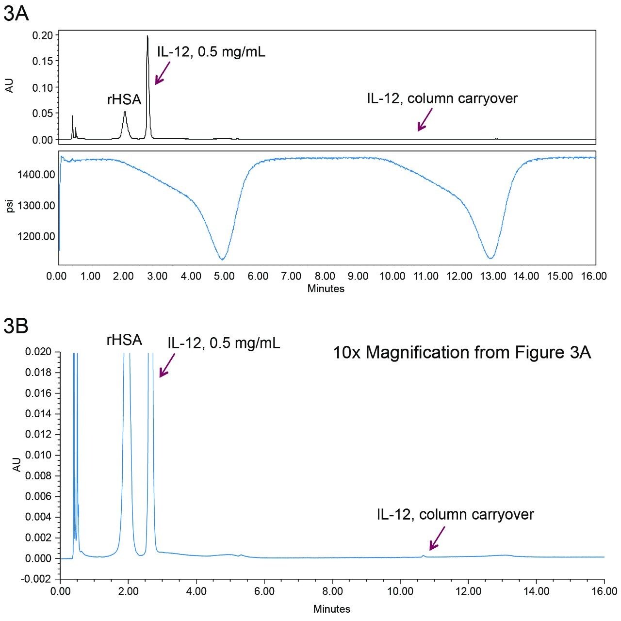 Injection-to-injection protein carryover. (B) Small IL-12 carryover peak was observed in the carryover determining gradient run.