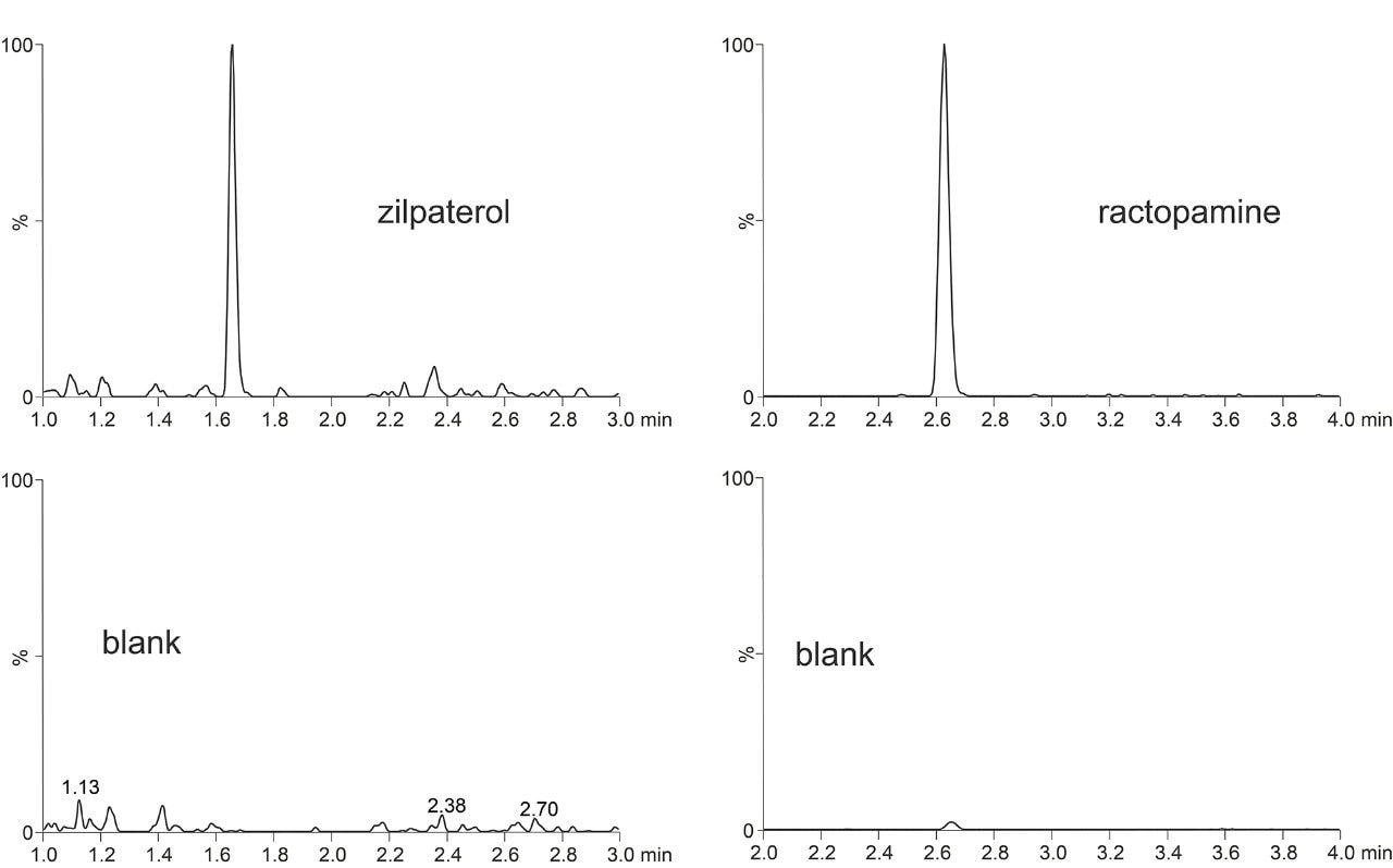 Typical chromatograms showing response in a matrix sample after cleanup for zilpaterol (left, equivalent to 1 ng/g in bovine liver) and for ractopamine (right, equivalent to 5 ng/g in bovine liver).