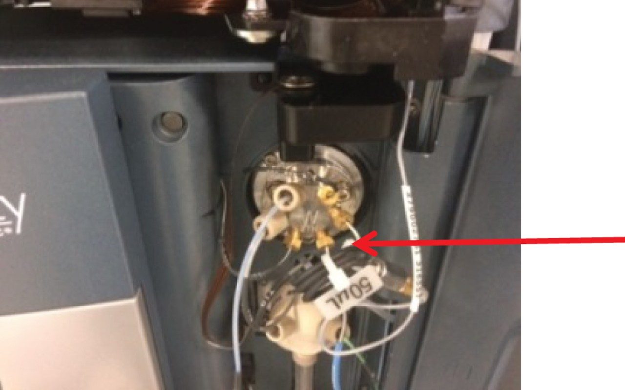 Additional 50 µL pre-column loop.