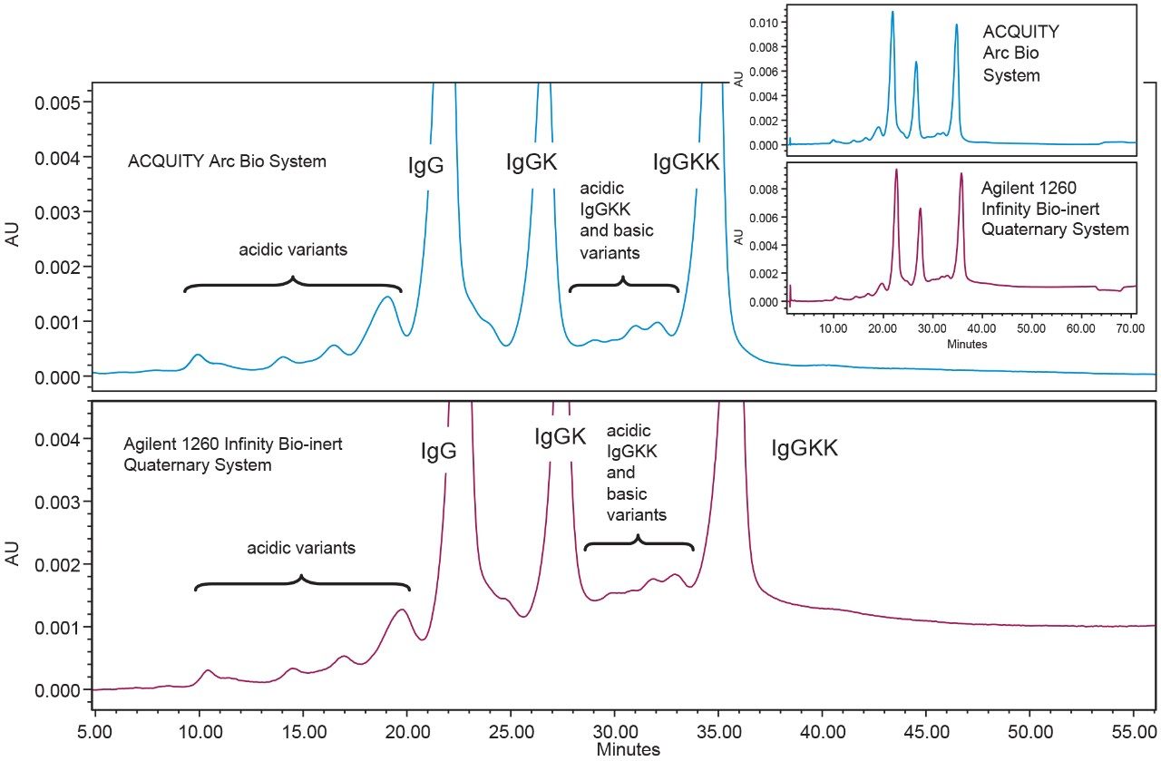 Method transfer of a cation exchange chromatography separation of infliximab.