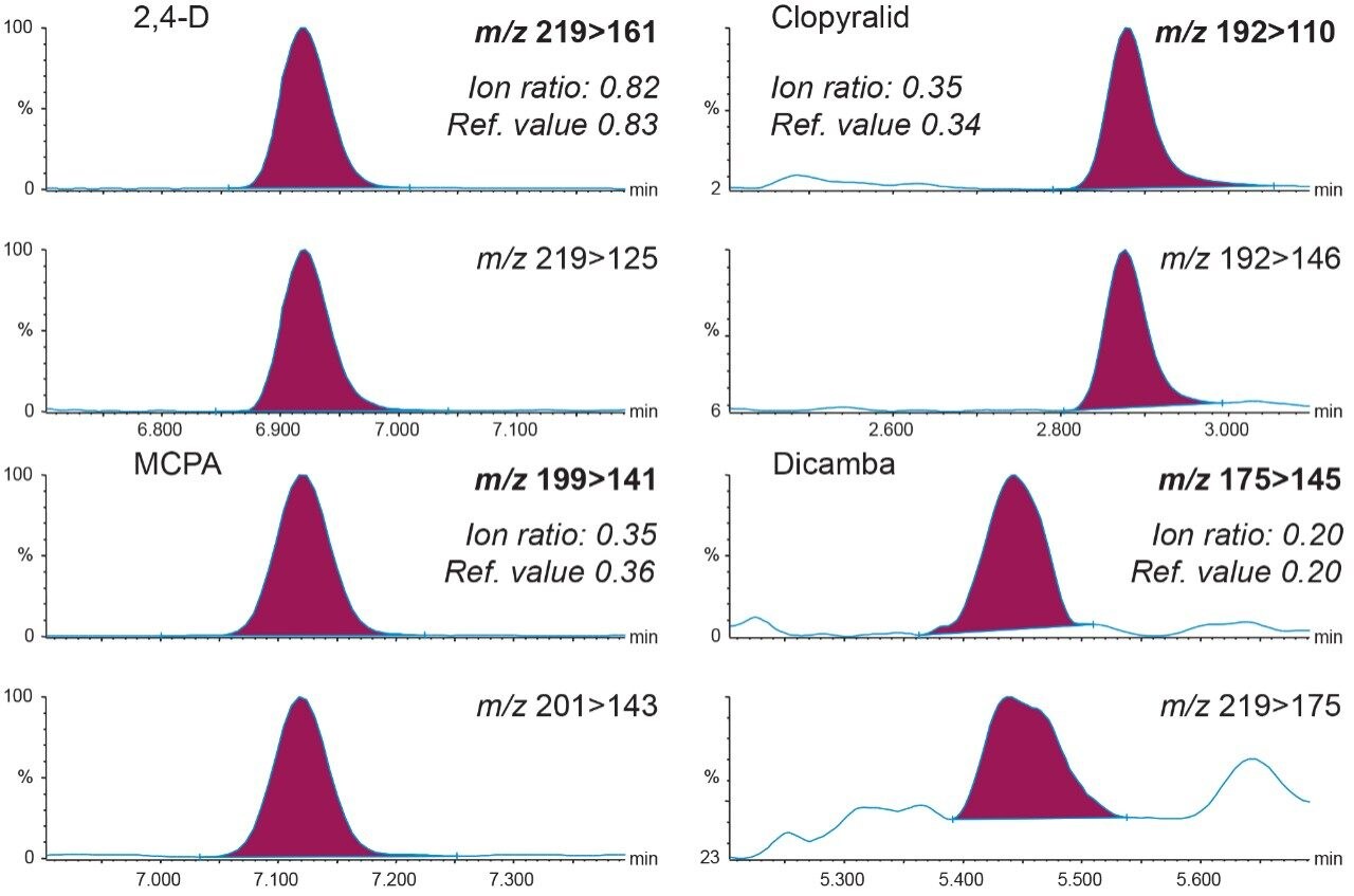 Figure 4. Chromatograms showing both transitions for a selection of acidic herbicides from the analysis of surface water spiked at 0.02 μg/L (quantitative transitions in bold).