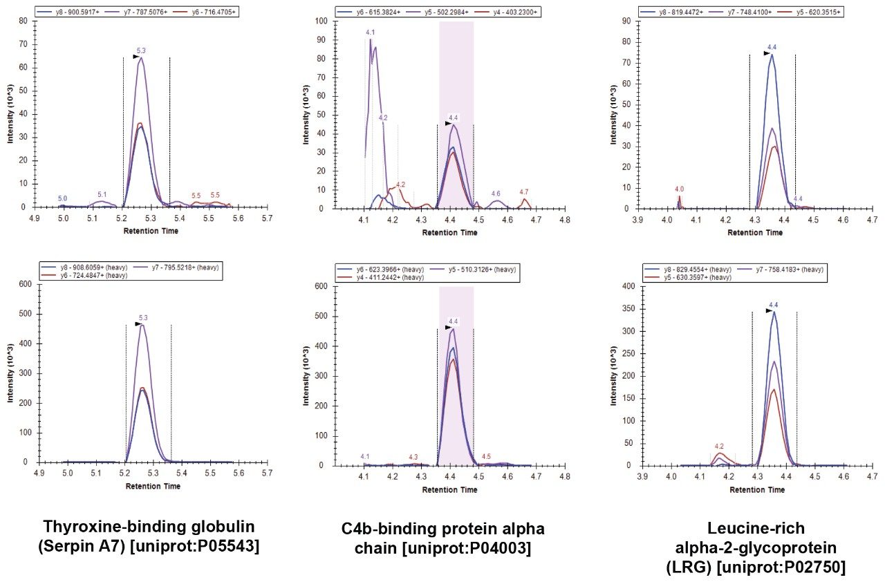 Figure 1. Example chromatograms acquired for three of the 100 proteins analyzed using the Biognosys PlasmaDive kit. (uniprot: P05543, P04003, and P02750). The upper chromatograms show the three transitions for the native peptide, and the lower chromatogram the stable labeled (heavy) reference peptide.