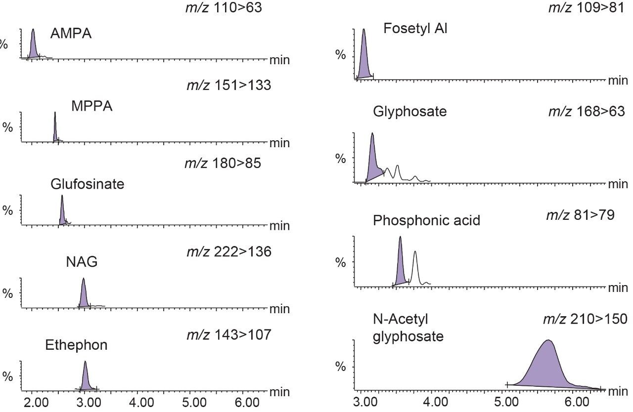 Typical chromatograms showing anionic polar pesticides from analysis of matrix-matched standard at 0.01 mg/kg (10 ppb) in wheat flour.