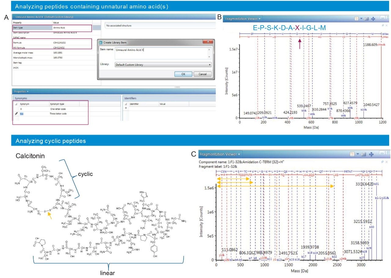 A) UNIFI Scientific Information System has a simple interface that enables the user to generate modifications such as an unnatural amino acid for data analysis. Each of these user defined amino acid will be included in peptide sequence and fragment ion identification. B) The fragmentation spectrum generated for the peptide sequence given contains unnatural amino acid ‘X’. The respective fragment ions containing X are labeled (red arrow). C) Calcitonin, a semi-cyclic synthetic peptide cyclized through disulfide bond formation is shown in the structure (yellow arrow). The b series ions, b7 and above contains disulfide bonded fragment ions and a few are shown in yellow.