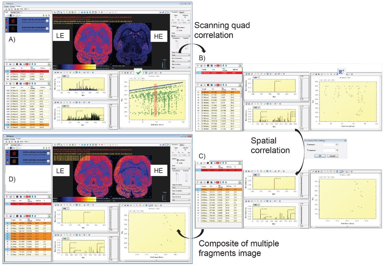 Figure 4. Workflow of the two-step correlation, A) Full SONAR with DESI imaging dataset loaded in HDI 1.4, B) results after the Scanning quad correlation between precursor ion m/z 798.54 and potential fragments, C) and D) results after the spatial correlation where the m/z 798.54 ion image is displayed as well as composite ion image of several fragment ions.