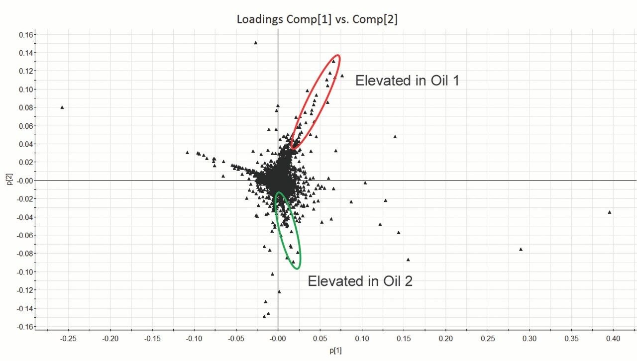 PCA loadings plot with the markers elevated.