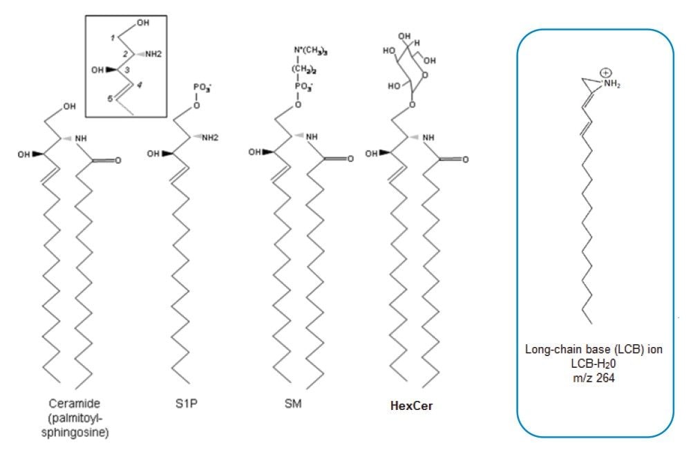  Structure of Sphingolipids (SLs). Ceramides (Cer), Sphingosine 1-phosphate (S1P), Sphingomyelin (SM) and hexosylceramide (HexCer). 