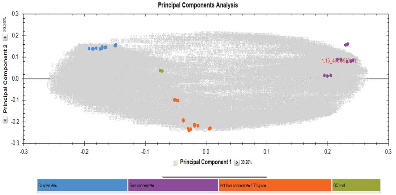 PCA scores and loadings plot from Progenesis QI.