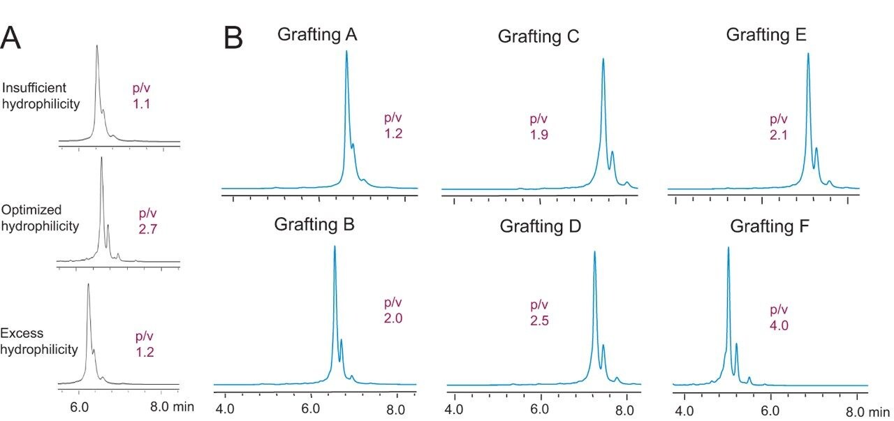Salt gradient separations and UV chromatograms of adalimumab as obtained with 4.6 × 50 mm IEX prototype columns packed with stationary phase prepared with (A) varying levels of hydrophilicity and (B) varying compositions of sulfonic acid grafting. Peak-to-valley (p/v) ratios are reported as measured for the separation of the first major basic variant of adalimumab.