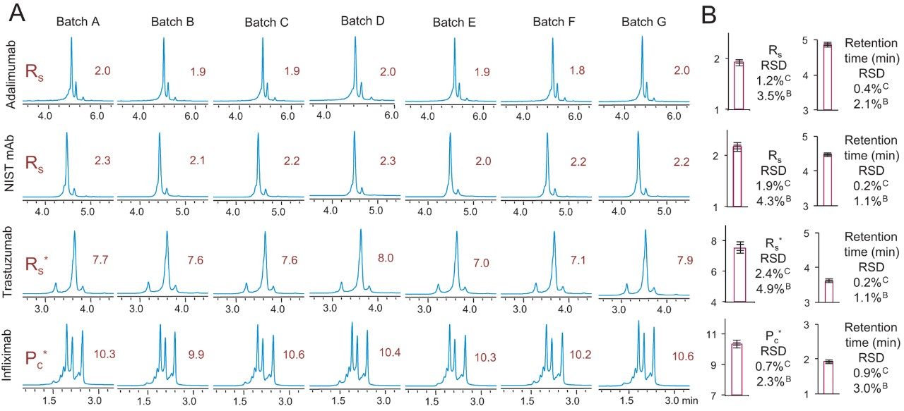 Reproducibility of the BioResolve SCX mAb stationary phase as observed with salt gradient separations of adalimumab, NIST mAb (RM 8671), trastuzumab, and infliximab. (A) UV chromatograms collected using BioResolve SCX mAb, 4.6 × 50 mm Columns packed with seven unique batches of stationary phase. (B) Average resolution metrics and retention time data shown along with RSD values collected from either seven columns packed with the same stationary phase batch (column-to-column variability)C or seven columns packed with seven unique batches of stationary phase (batch-to-batch variability).B