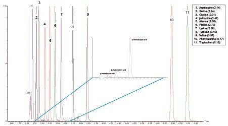 Figure 2. Total Ion Chromatogram (TIC) for 11 amino acids present in a plasma sample and inset a chromatogram to show the separation of gamma-aminobutyric acid, beta-aminoisobutyric acid, and alpha-aminobutyric acid in the same plasma sample.