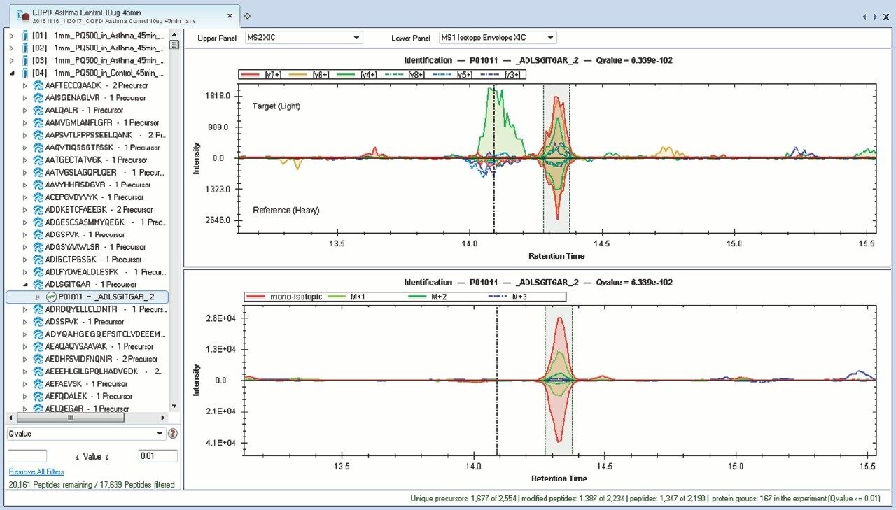 Spectronaut Pulsar X extracted ion chromatogram for Biognosys PQ500 heavy labeled peptide EDVYVVGTVLR and its corresponding light analogue from digested, undepleted plasma.