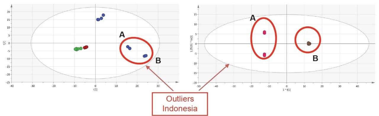 On the left PLS-DA score plots from the comparison between Haiti, Paraguay, and Indonesia groups
