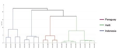 Hierarchical clustering analysis of vetiver oils of different botanical origins