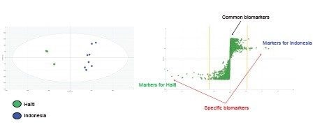On the left OPLS-DA score plots from the comparison between Haiti and Indonesia groups