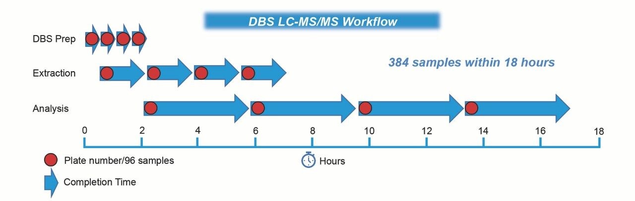 Analytical workflow 