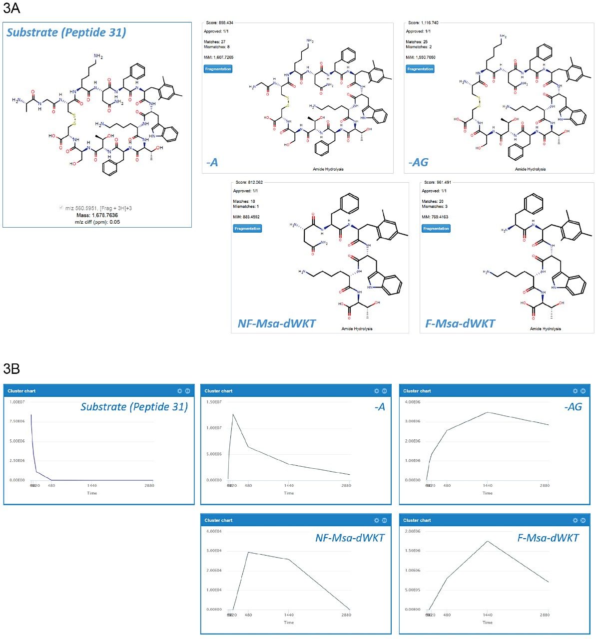  (A) Major metabolites of peptide 31  (B) Metabolic profiles of peptide 31 and its major metabolites