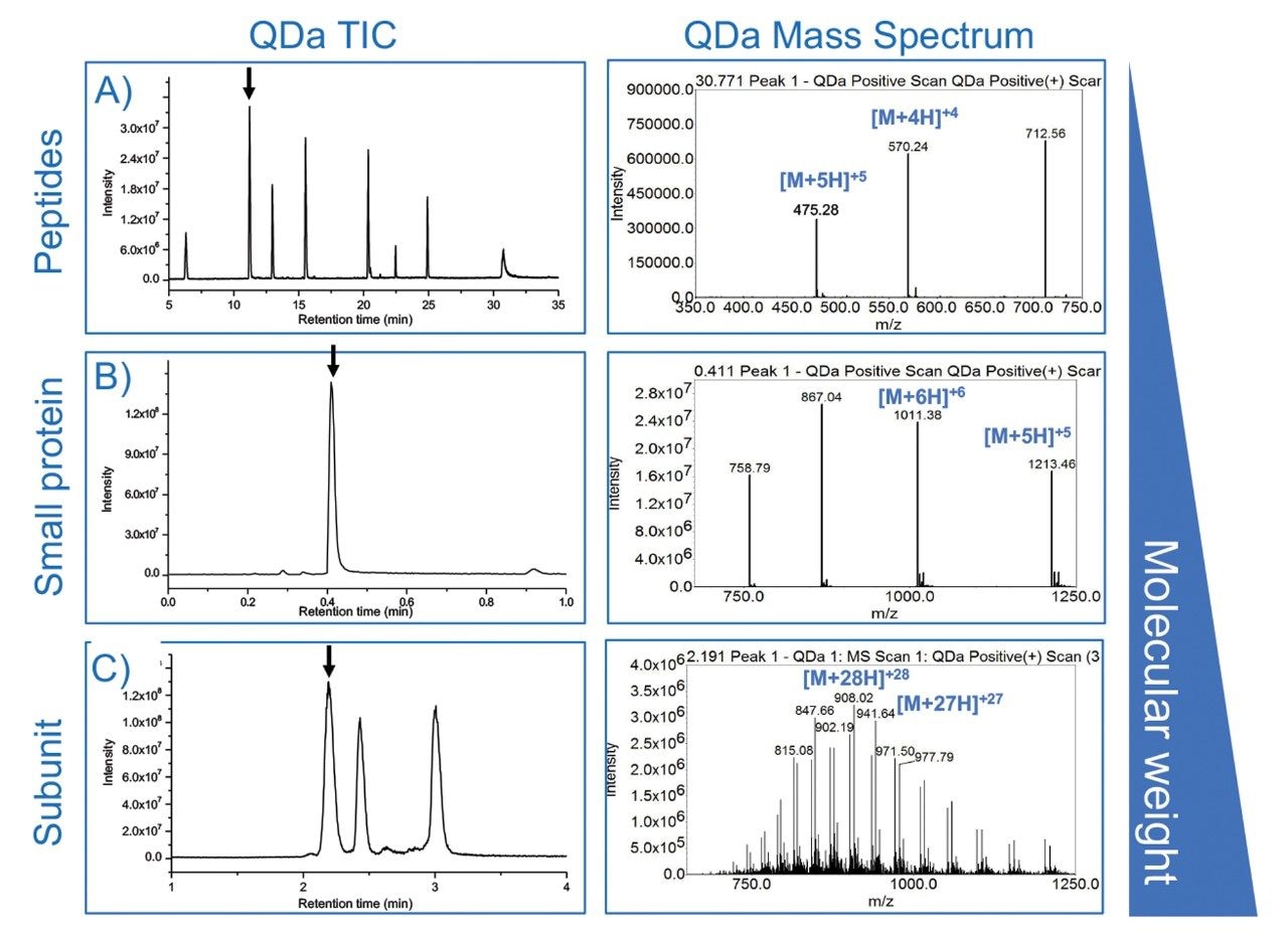 Sample selection. The samples evaluated included (A) Waters MassPREP Peptide Standard, (B) insulin glargine, and (C) reduced NIST mAb subunits. These samples were chosen to give a range of molecular weights from 899.0 Da to 25.0 kDa. 