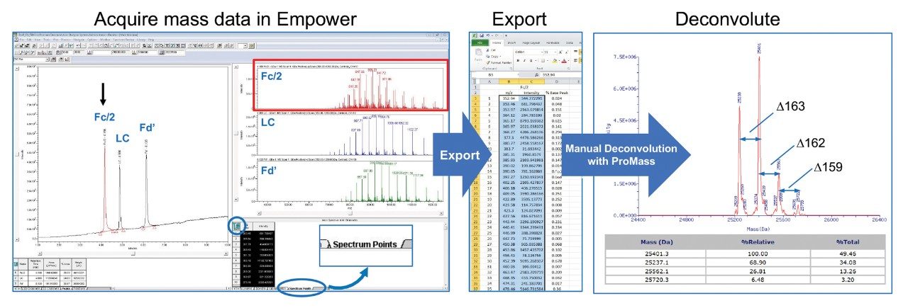 Empower3 direct export. Mass spectrum data acquired using either the ACQUITY QDa or ACQUITY SQD2 under the control of the Empower 3 CDS Software can be directly exported for manual deconvolution. In this example, mass spectrum data from the NIST mAb reduced subunits (Fc/2, LC, and Fd’) were acquired using Empower 3 on a ACQUITY QDa Mass Detector. The data was manually exported from Empower 3 to a spreadsheet, from where the m/z and spectrum intensity data was exported to a third-party software for manual deconvolution.