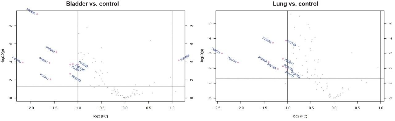 Volcano plot.