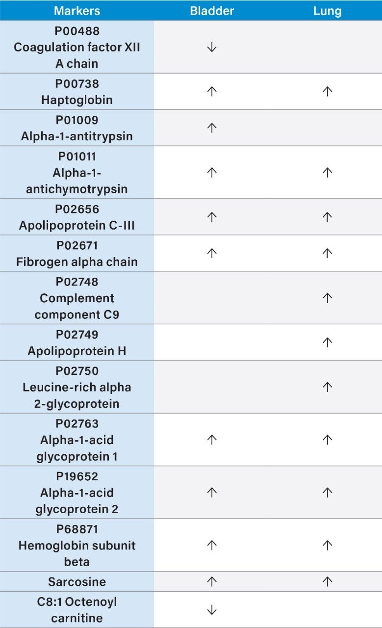 List of the most statistically significant markers identified for lung and bladder cancer. 