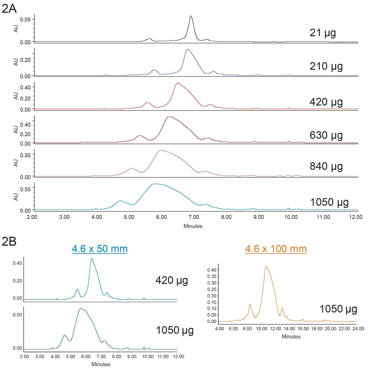  Loading study of trastuzumab
