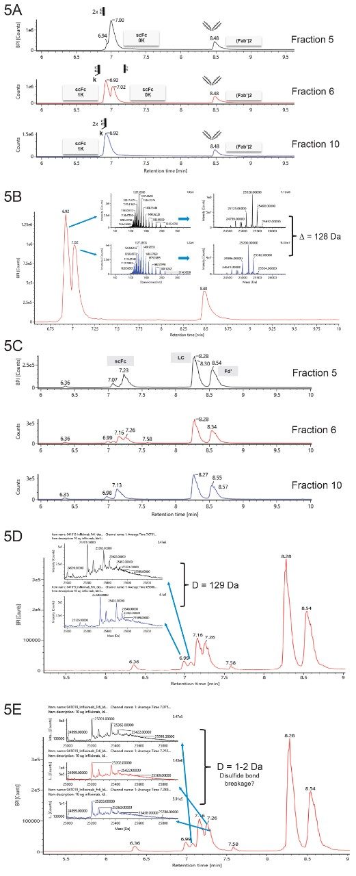 Subunit analysis of infliximab fraction