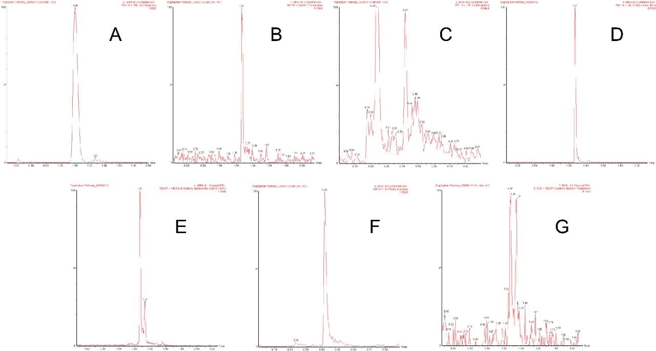Typical chromatograms for tryptophan and its metabolites in human urine