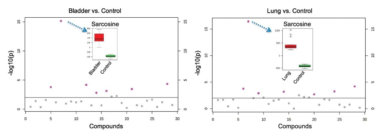 Example statistical analysis in MetaboAnalyst 