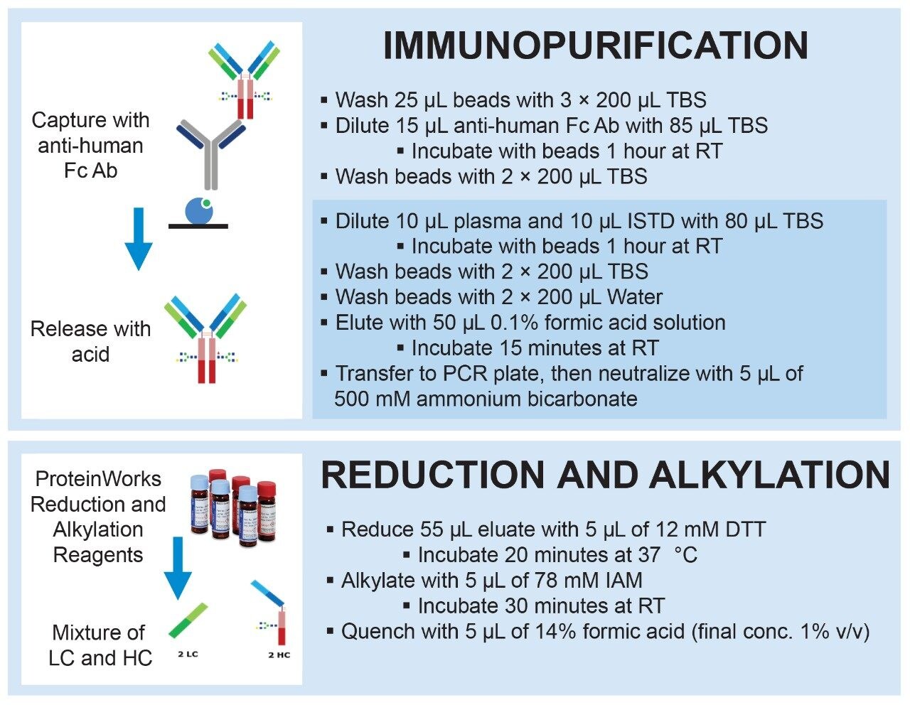 Sample preparation workflow for the quantification of adalimumab from rat plasma