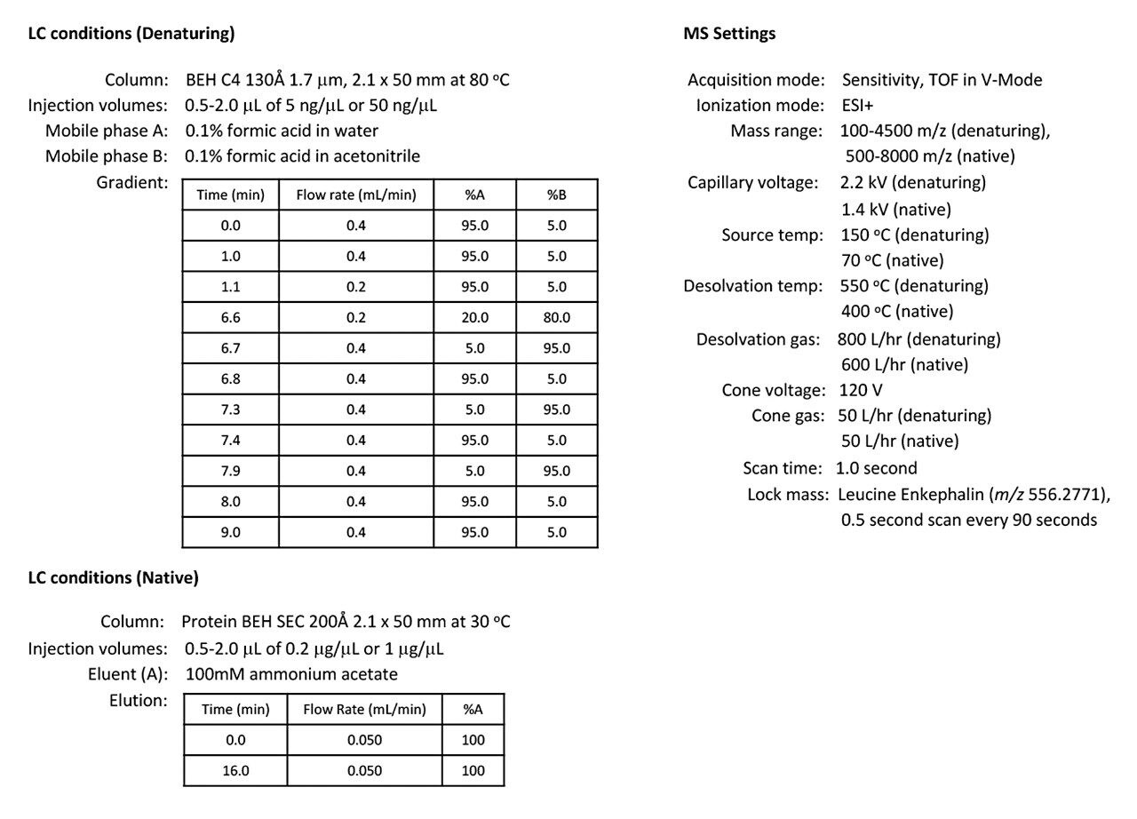 LC-MS conditions for denaturing and native analysis of trastuzumab