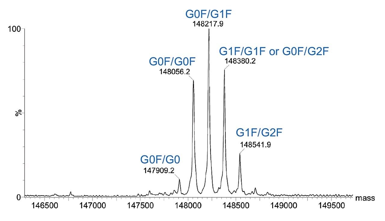 Representative MaxEnt1 deconvolution of trastuzumab from denaturing analysis