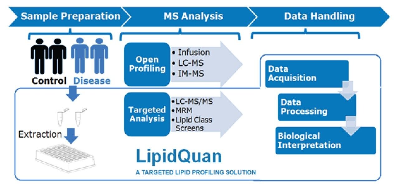 General lipidomic workflow