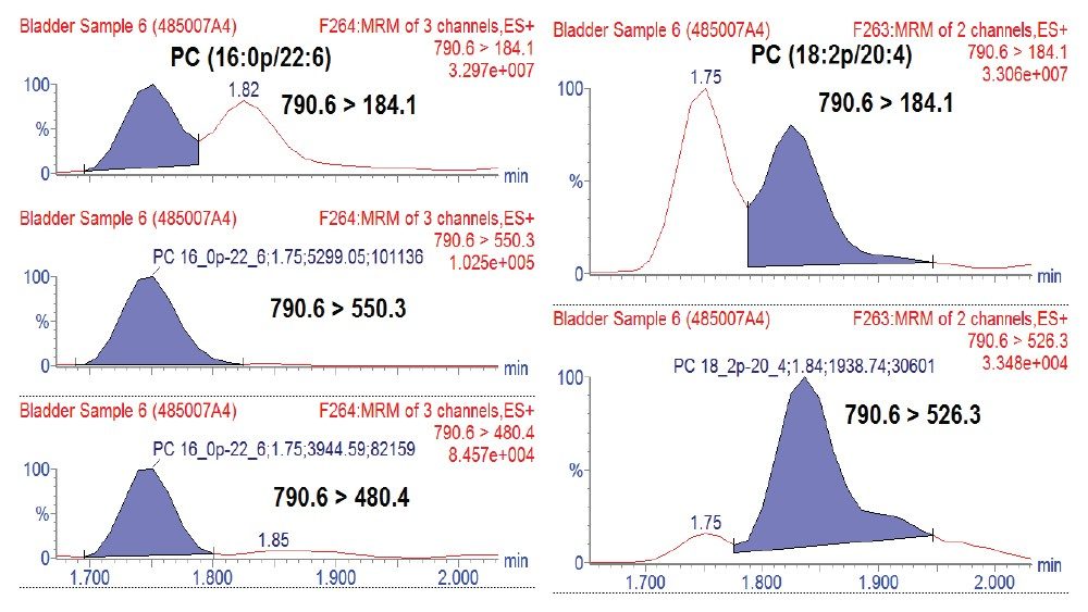  isobaric lipids identification by using fatty acyl fragment transitions and retention times