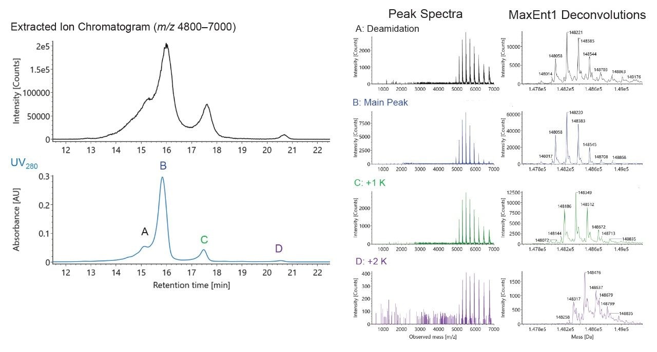 UV280 and MS chromatograms of intact NIST mAb.