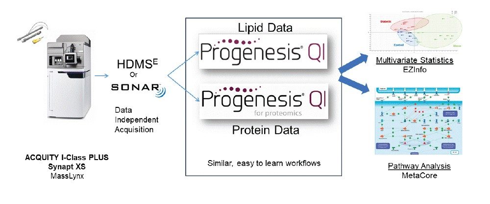 Lipidomic and proteomic LC-MS analyses and associated data processing workflow