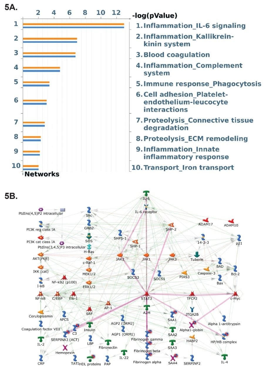 Metacore, a Cortellis solution, pathway analysis reveals signficant pathways of interests being implicated in breast cancer mechanisms