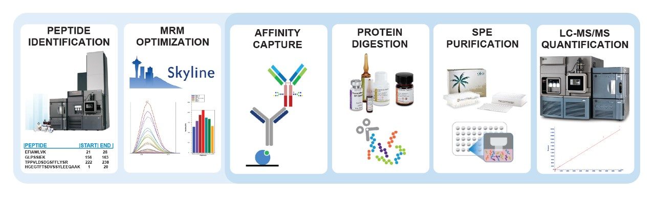 Quantitative assay development workflow