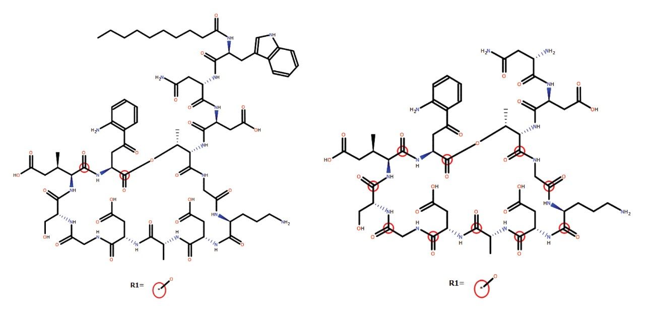  Examples of putative assigned structures in WebMetabase