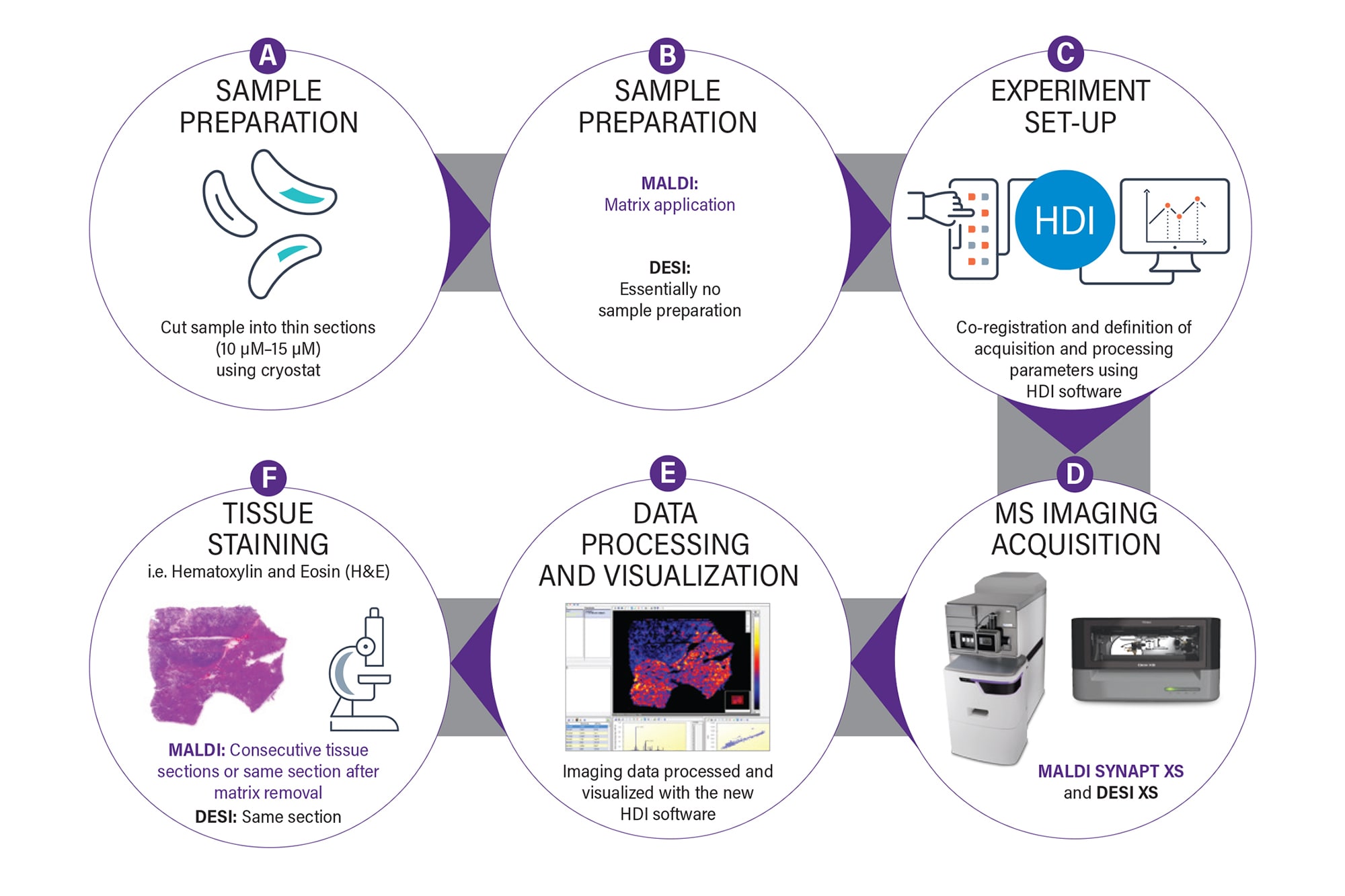 Full Spectrum Molecular Imaging on the SYNAPT XS Combined Imaging