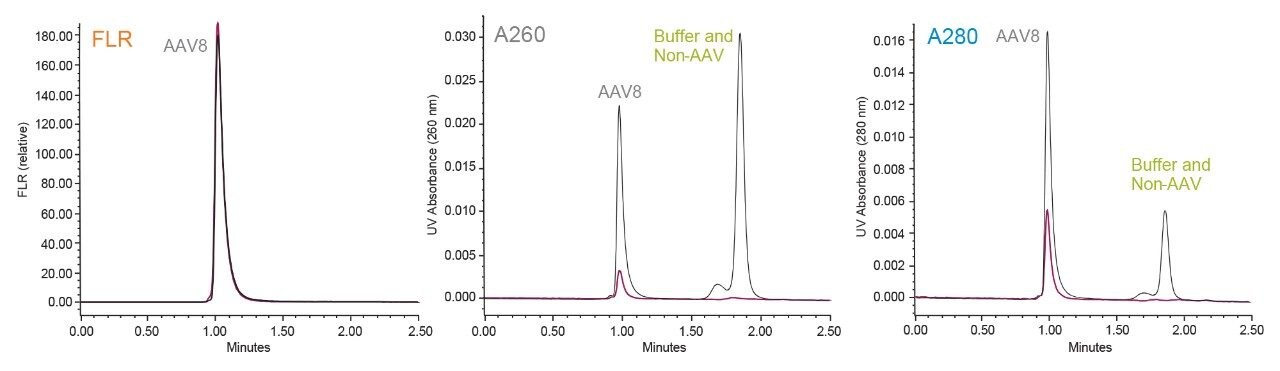 A comparison of the SEC fluorescence and UV absorbance responses 