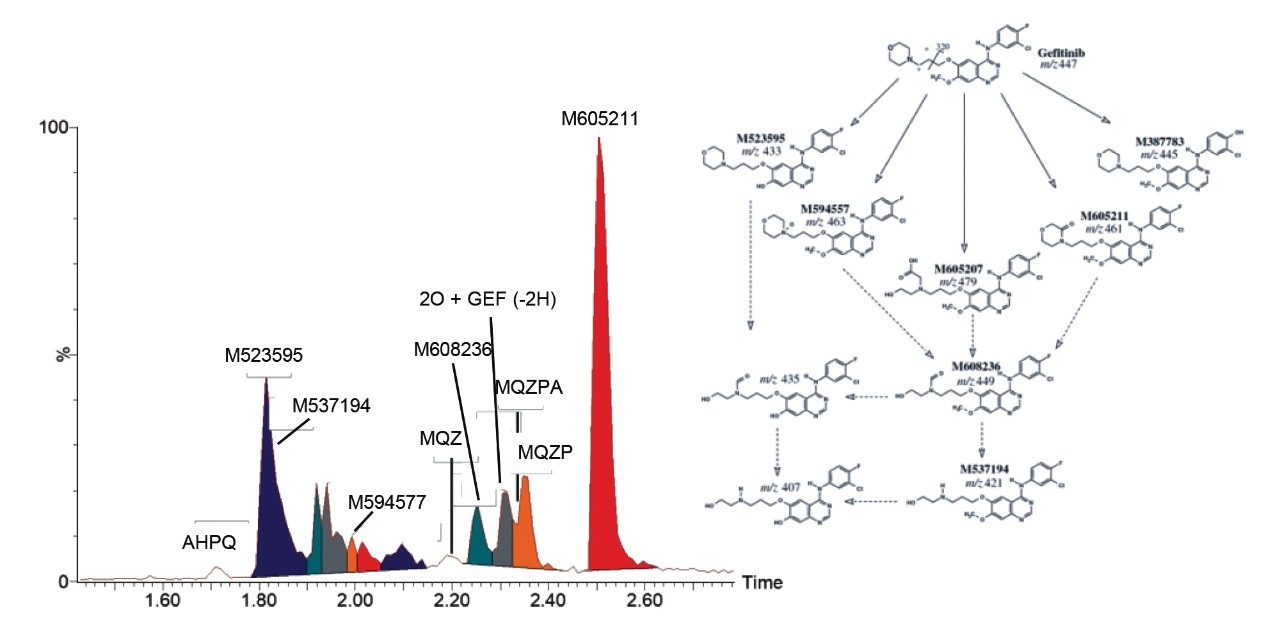 Extracted ion chromatograms.