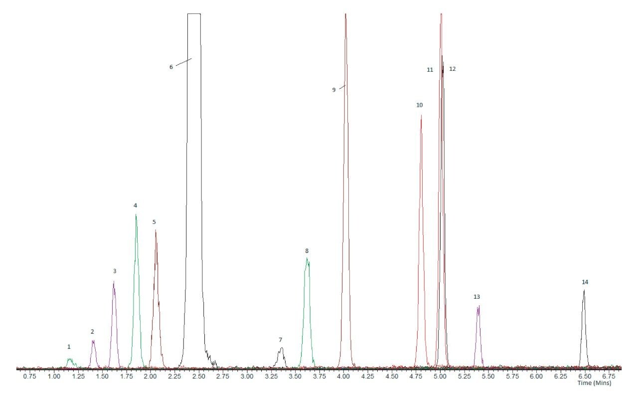 UPLC separation of the 14 steroids using the MetaboQuan-R platform, including the 5 sets of isobaric steroids