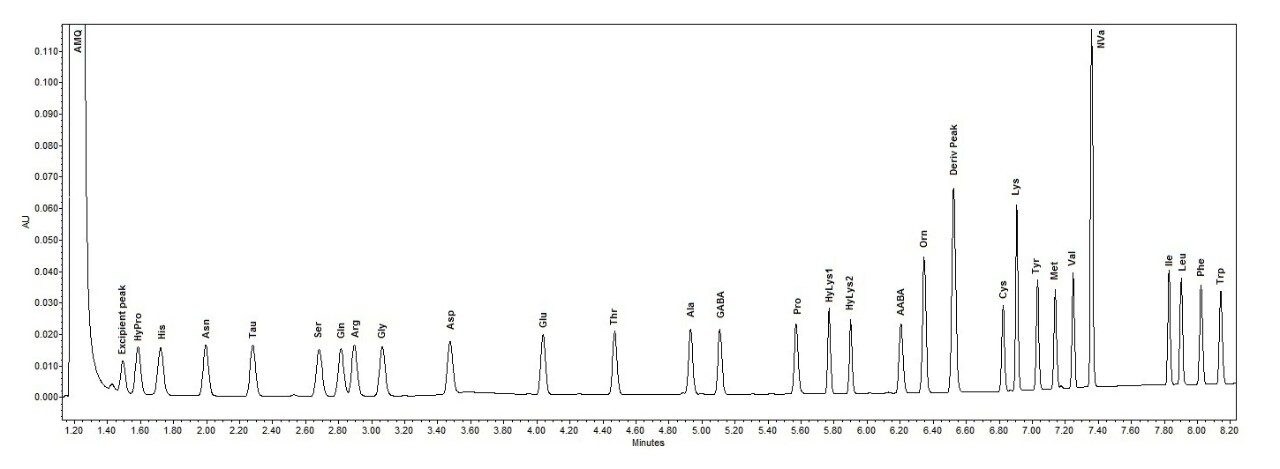 Separation of 10 pmols of the Cell Culture Standard 