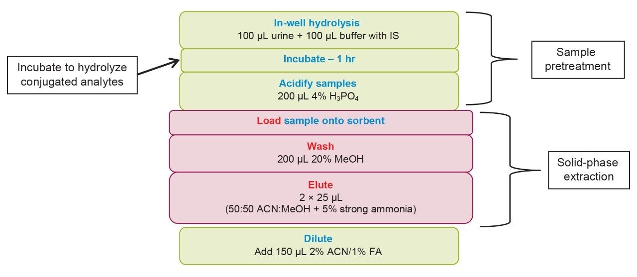 The workflow for the addition of internal standard, incubation, and entire SPE process