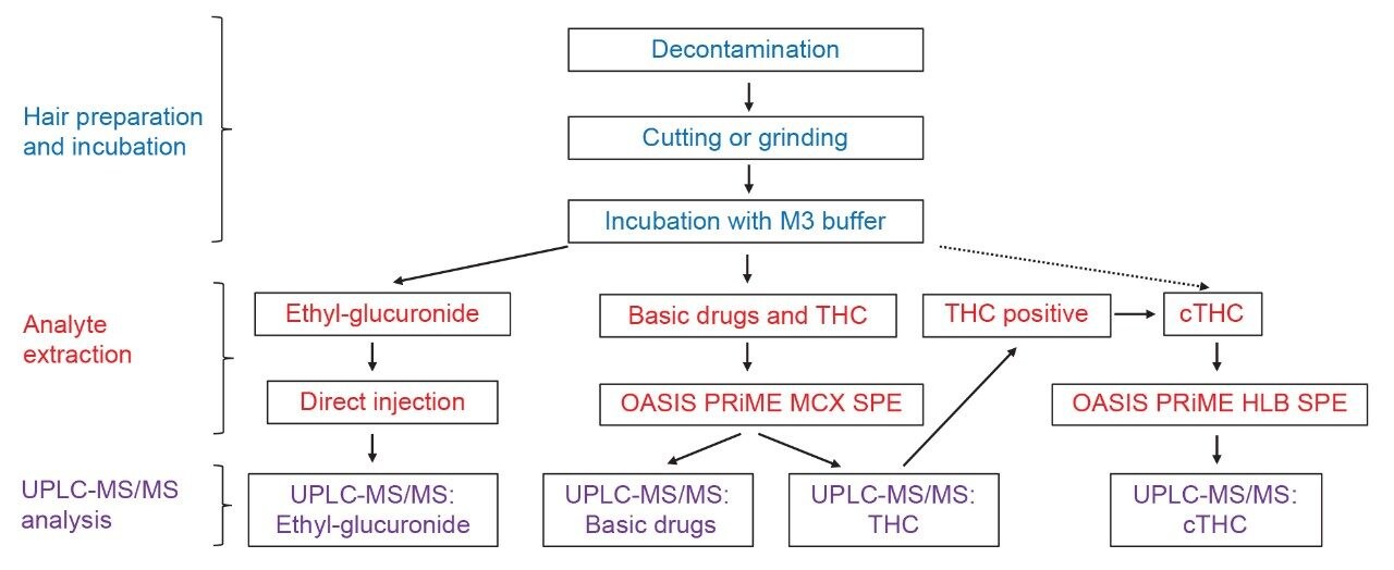A potential complete workflow schematic for the analysis of drugs of abuse in hair