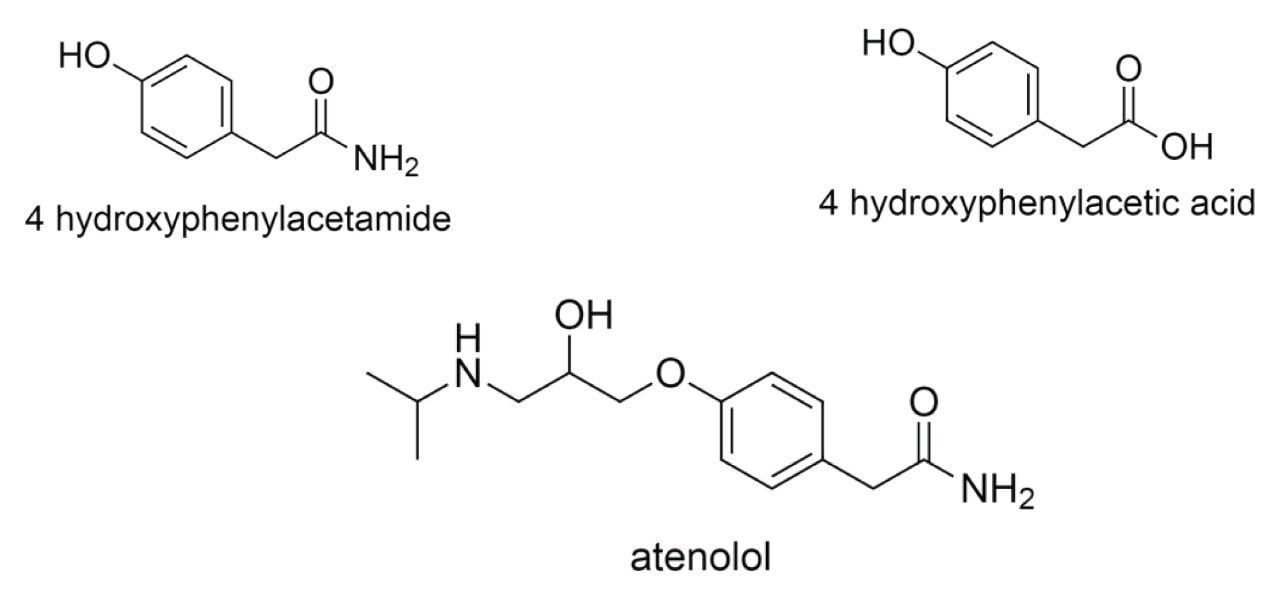 Structures of 4-HPA, atenolol and 4-HPAA