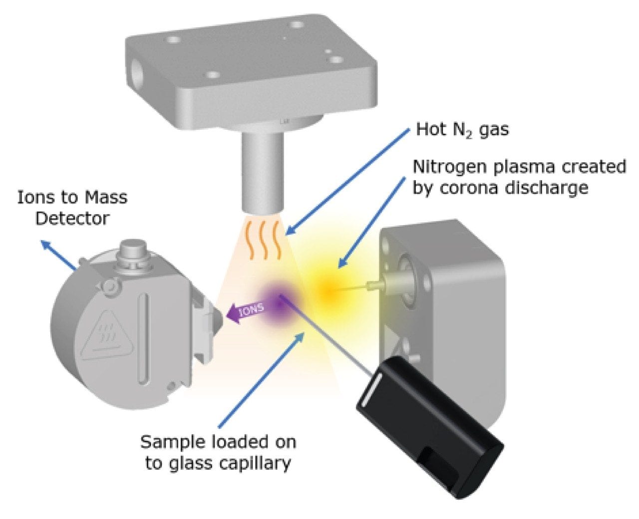 Schematic of RADIAN ASAP Sample Ionization Process