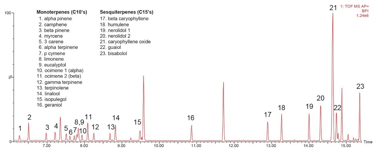 Base peak intensity chromatogram (BPI)